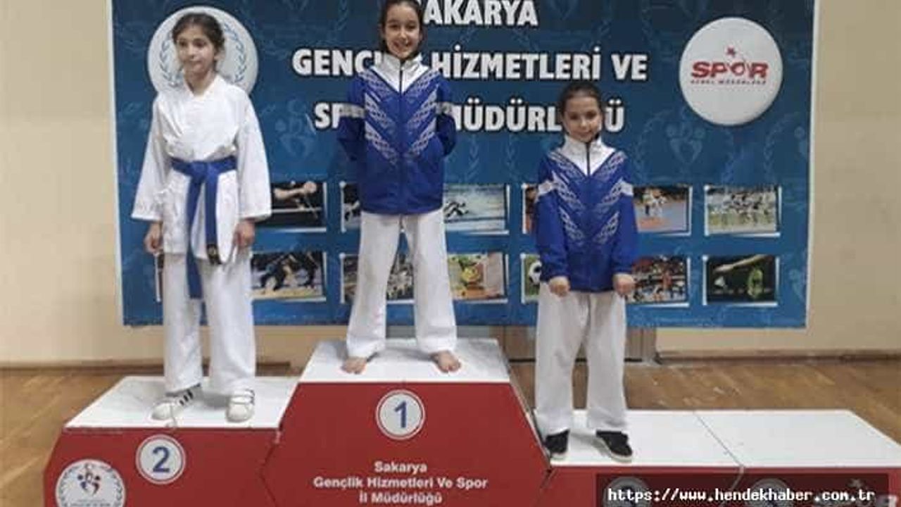Hendek Karate Takımı 42 madalyayla döndü