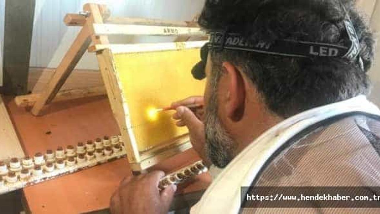 Ana arı üretimi eğitimleri gerçekleştirildi