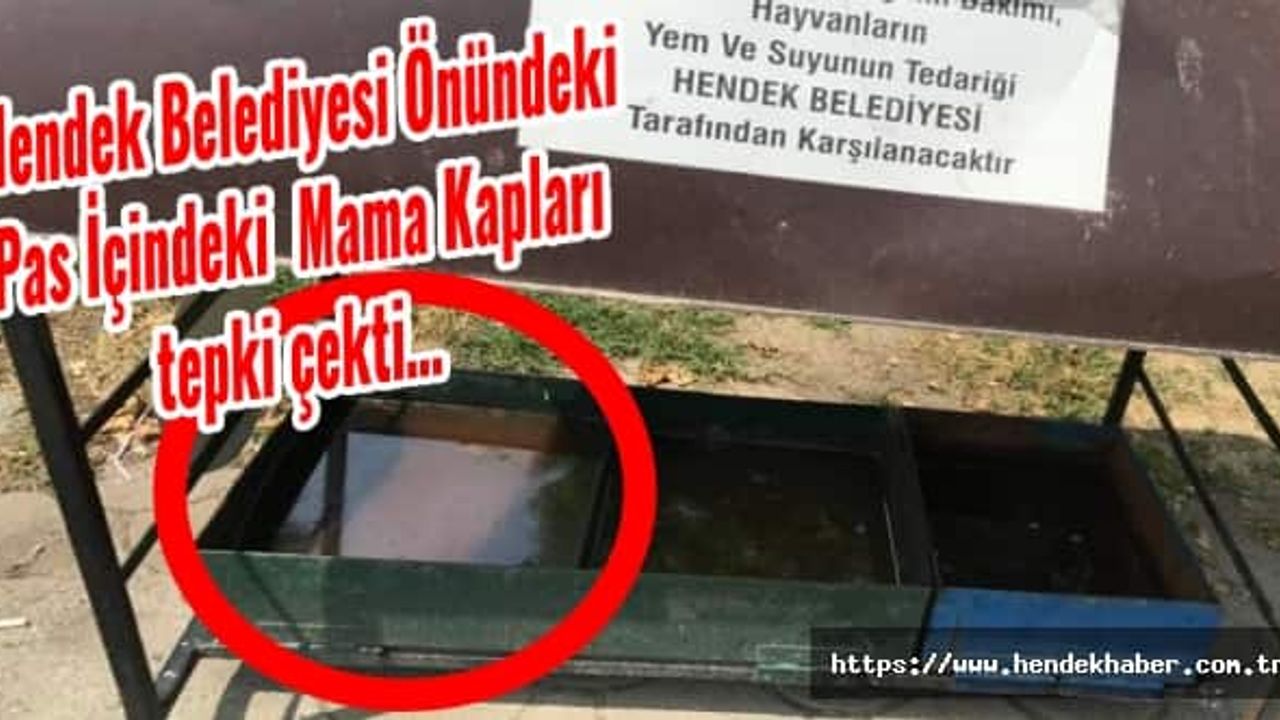 Hendek Belediyesi Önündeki Pas İçindeki Mama Kapları Tepki çekti...