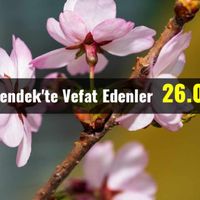 Hendek'te
