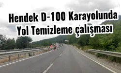 Hendek D-100 Karayolunda Yol Temizleme çalışması