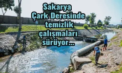 Sakarya Çark Deresinde temizlik çalışmaları sürüyor…