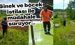 Sinek ve böcek istilası ile müdahale sürüyor…