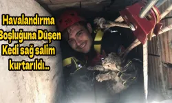 Havalandırma Boşluğuna Düşen Kedi sağ salim kurtarıldı…