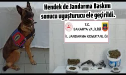 Hendek de jandarma baskını sonucu uyuşturucu ele geçirildi.