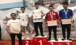 Hendek Olimpik Spor Kulübü: ANALİG Güreş Türkiye Şampiyonu oldu