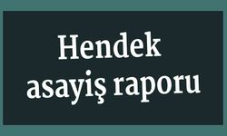 Hendek asayiş raporu