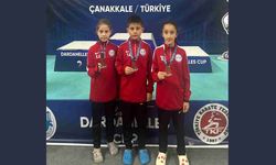 Hendek Karate Spor Kulübü Çanakkale'de Madalyaları Topladı