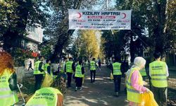 Hendek Muammer Sencer Caddesi’nde çevre temizliği gerçekleştirdiler