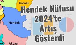 Hendek Nüfusu 2024'te Artış Gösterdi