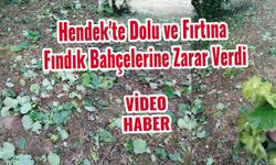 Hendek'te Dolu ve Fırtına Fındık Bahçelerine Zarar Verdi