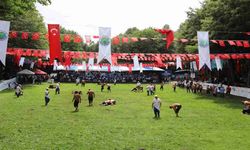 Hendek'te 21. Selman Dede Yağlı Güreşleri gerçekleşti