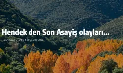 Hendek den Son Asayiş olayları...