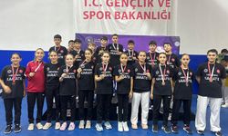 Hendek Olimpik Spor Karate Turnuvasından 72 madalya ile döndü