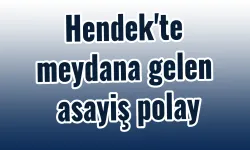 Hendek’te Asayiş: Trafik Kazaları ve Alkollü Sürüş Olayı