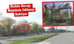 Otobüs Durağı Müdahale Edilmeyi Bekliyor