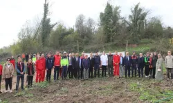 Hendek Paşaköy de Fidanlar Toprakla Buluştu