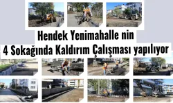 Hendek Yenimahalle’de 4 Sokakta Kaldırım Çalışması yapılıyor