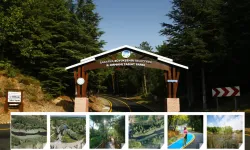 2025'te Sakarya'da bu alanlar doğa severlerin rotası oldu