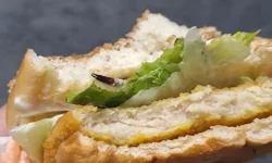 Hendek'te Şok İddia: Hamburgerden Böcek Çıktı