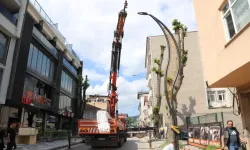 Hendek Remzi Efendi Caddesi Modern Aydınlatmaya Kavuşuyor
