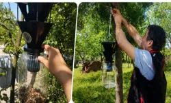 Hendek'te 144 bin kahverengi kokarca imha edildi