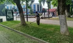 Hendek ilçe merkezinde ot temizliği sürüyor...