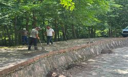 Hendek'te 22. Selman Dede Şenlikleri İçin Geri Sayım