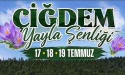 Hendek’te 28. Çiğdem Yaylası Şenliği İçin Geri Sayım Başladı