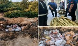 Hendek'te Kaçak Et Operasyonu 5.5 Ton Et Ele Geçirildi