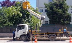 Hendek Yeni Mahalle’de SEDAŞ Çalışması ve Kesinti