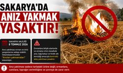 Sakarya’da Anız Yakmak Yasak Valilikten Vatandaşlara Uyarı