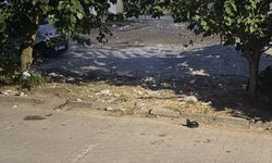 Hantek Kalıcı Konutları’nda Çöp Sorunu Büyüyor