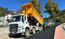 Hendek’te Saha Çalışmaları Dört Bir Yanda Sürüyor