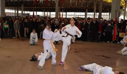 Hendek  29 Ekim Cumhuriyet Bayramı 2016