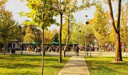 Sakarya'dan Harika Son Bahar Manzaraları