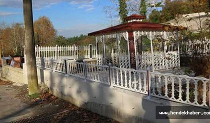 Yeni sosyal anlar örnek teşkil ediyor