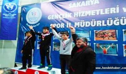 Sakarya'dan Hendek'e bir madalya daha