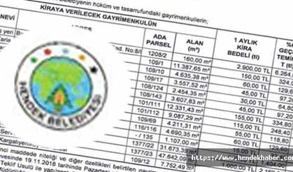 Hendek Belediyesi’nden ihale ilanı