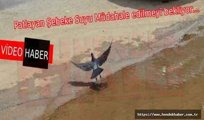 Patlayan Şebeke Suyu Müdahale edilmeyi bekliyor…