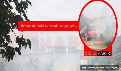 Hendek de fındık tarlasında yangın çıktı…