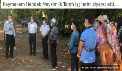 Kaymakam Hendek Mevsimlik Tarım işçilerini ziyaret etti…