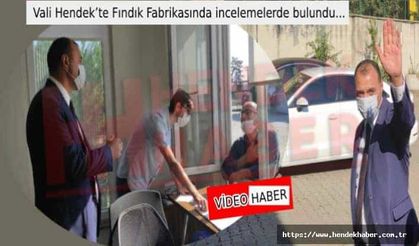 Vali Hendek’te Fındık Fabrikasında incelemelerde bulundu...