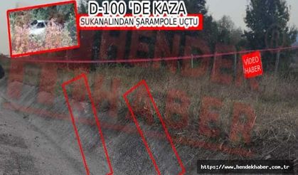 Hendek'te Otomobil Şarampole Uçtu… 2 Yaralı…