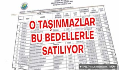 İşte Hendek'te satışa çıkacak o taşınmazlar ve ihale şartları
