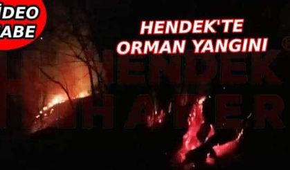 Hendek'te orman yangını yaşandı...