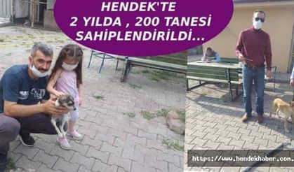 Hendek Geçici Bakım evi faaliyetlerini paylaştı…