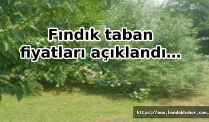 Fındık taban fiyatları açıklandı…