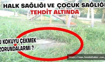 Hendek Yeni Mahallede çocuklar tehlike altında...