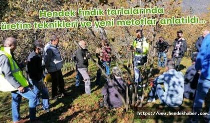 Hendek de Belediye ekipleri fındık tarlalarında faaliyetlerini sürdürüyor...